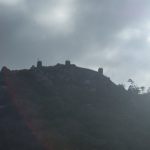 DSC00619-w740_h495